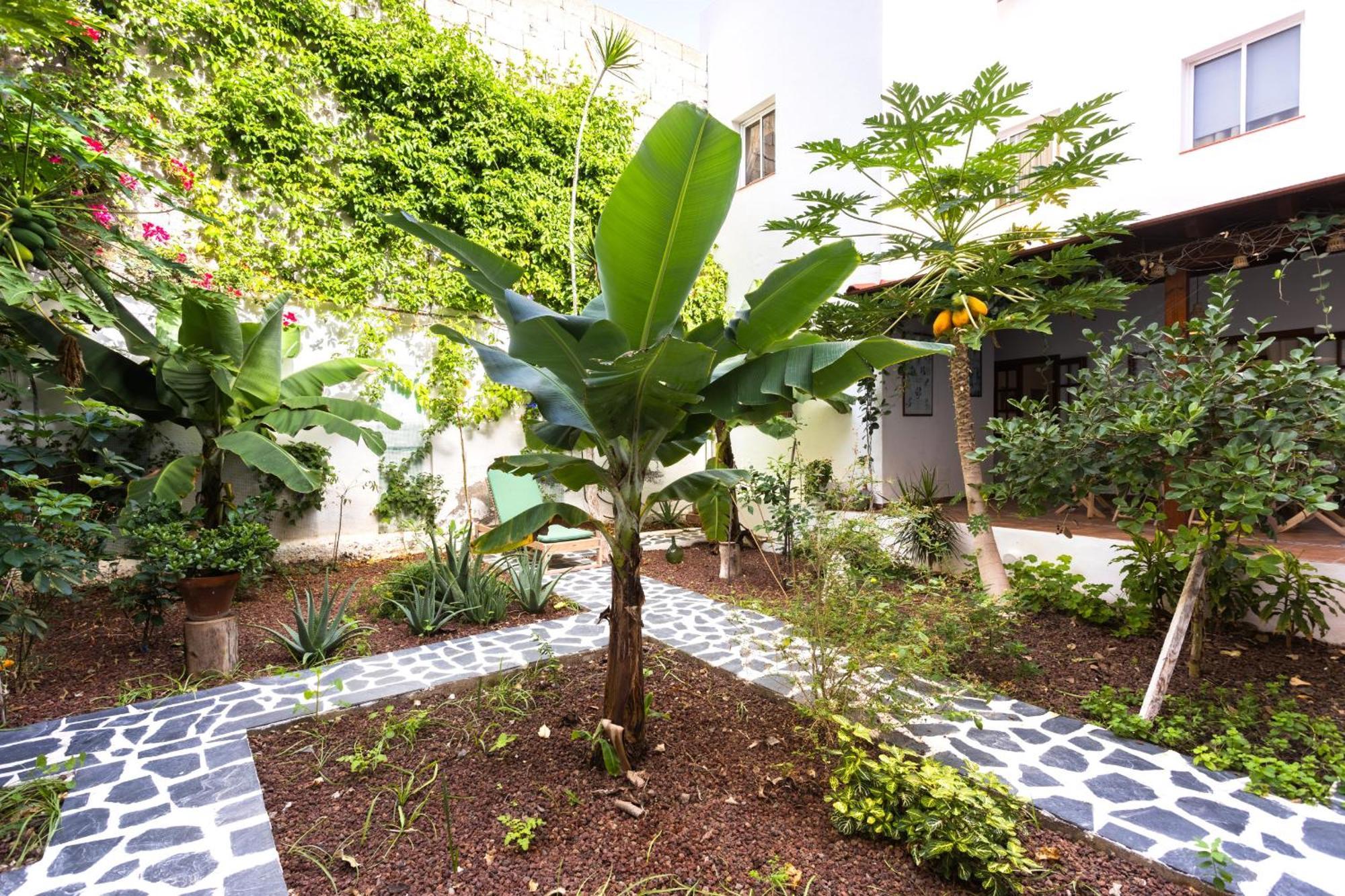 Villa Garachico Center Secret Garden Esterno foto