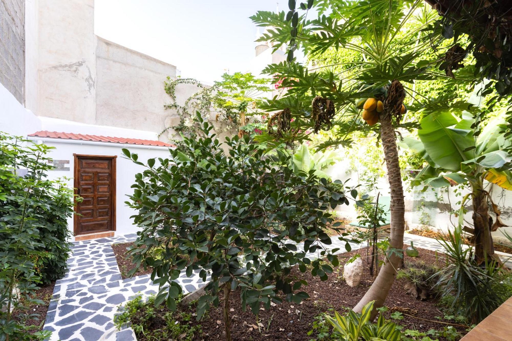 Villa Garachico Center Secret Garden Esterno foto